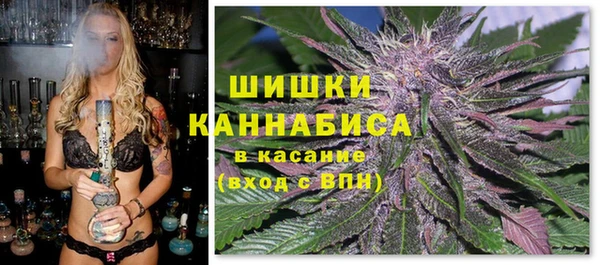 спайс Баксан