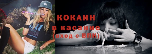 спайс Баксан