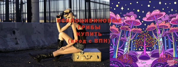 спайс Баксан
