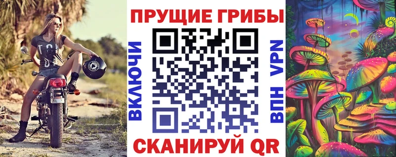 Псилоцибиновые грибы мицелий  даркнет сайт  Стрежевой 
